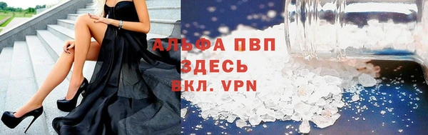 сатива Беломорск