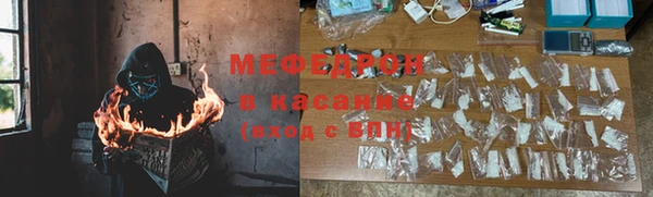 сатива Беломорск