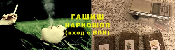 гидра Белокуриха