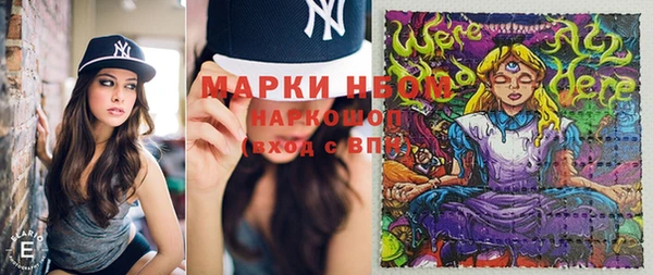 гидра Белокуриха