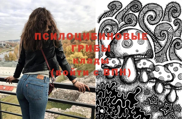 гидра Белокуриха