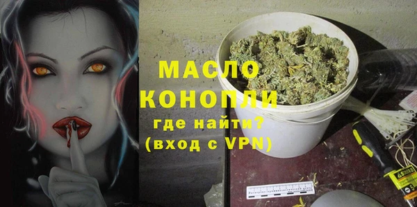 сатива Беломорск
