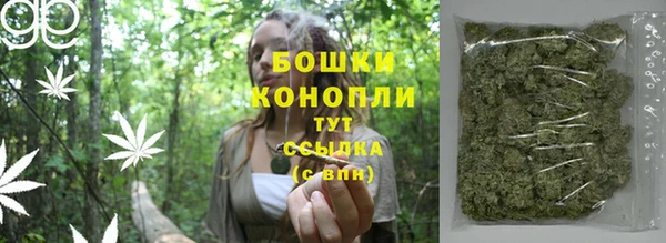 сатива Беломорск