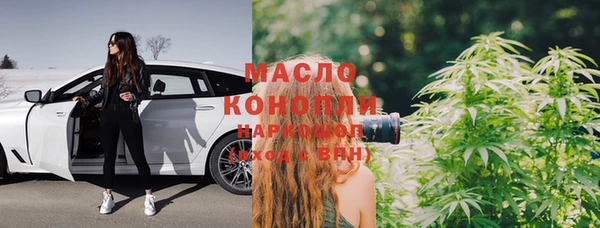сатива Беломорск