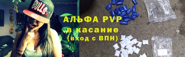 гидра Белокуриха