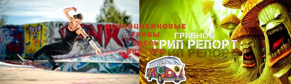 гидра Белокуриха