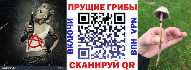 MEGA онион Северская Псилоцибиновые грибы мицелий цены